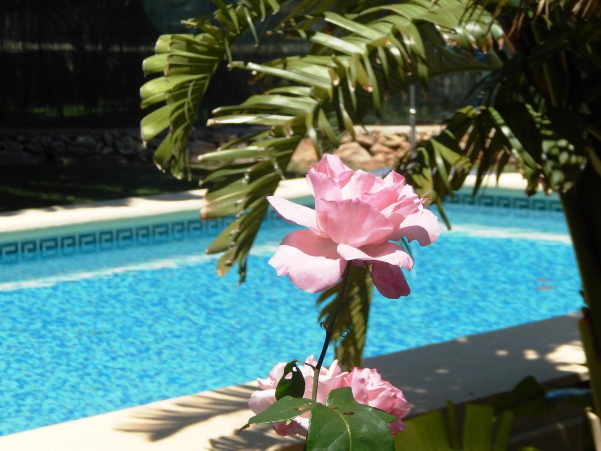 Magnolia *